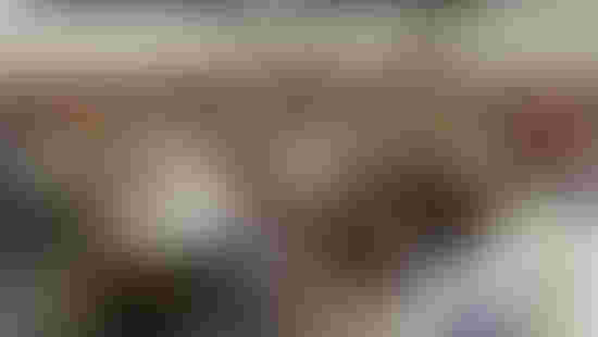 P1073373.jpeg